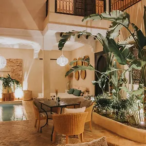 L'oiseau Du Paradis Marocco